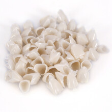 50Pcs Dental Resin Front & Molar Teeth Crowns Kit, Realistic, Oral Care