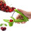 Cherry Pitter OneHanded Operation, Stone Remover, Seed Remover, Scoop Design, Green 5