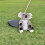Para Driver Con Forma De Animal 5