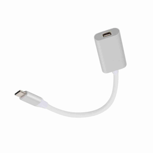 USB-C to Mini DisplayPort Adapter for MacBook 4K Silver