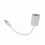 USB-C to Mini DisplayPort Adapter for MacBook 4K Silver 14