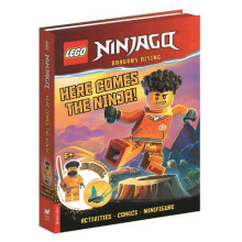 LEGO NINJAGO Here Comes the Ninja with Arin minifigure and dragon mini