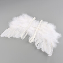 Elegant Angel Wings & Headband Set for Newborn Photos – Fits 0-6 Months