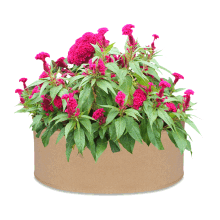 Saco de cultivo em tecido não tecido espesso, vaso respirável com excelente drenagem e propriedades de resfriamento, vasos de tecido aerado