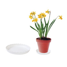 Sottovasi in plastica trasparente, vassoi per piante in resina PP resistenti per uso interno, ideali per proteggere i pavimenti da schizzi d'acqua e