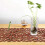 Felt Tablecloth & Placemats Rectangle Shape Light Coffee Household Decor 7