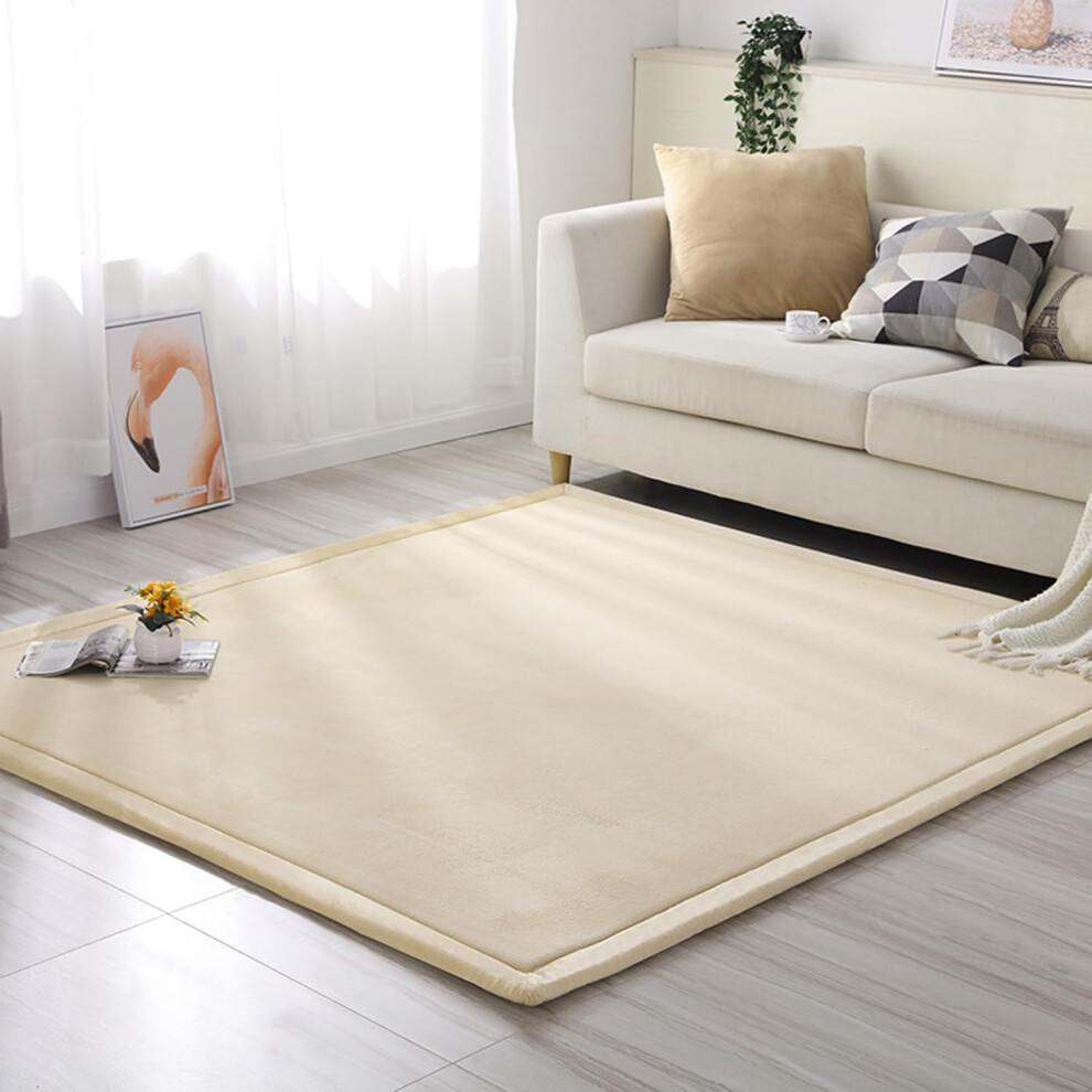 Velvet Area Rug For Living Room And Bedroom, Soft NonSlip Floor Carpet, Crawling Mat For Kids