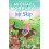 Mr Skip by Michael Morpurgo Paperback Book 1