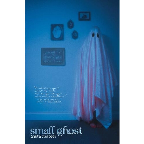 Small Ghost by Trista Mateer Paperback Book