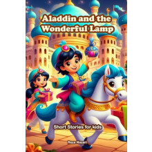 Aladdin and the Wonderful Lamp by Reza Nazari Paperback Book