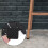 High Quality 48Pcs Black Non-Slip Rubber.Self-Adhesive Floor Protector Pads 4