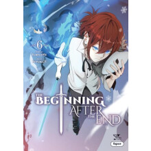 The Beginning After the End Vol. 6 comic by TurtleMe Paperback Book