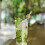 100 Unidades Para E Decorativos Festa 8