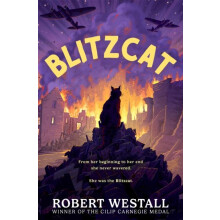 Blitzcat by Robert Westall Paperback Book