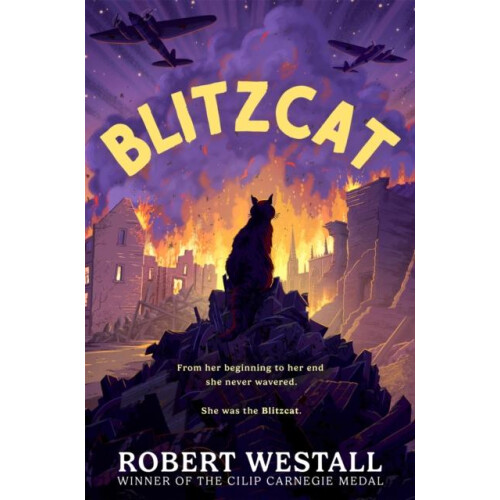 Blitzcat by Robert Westall Paperback Book