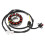 Yamaha YFZ450  Stator Coil: Enhanced Power & Reliability 2