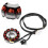 Yamaha YFZ450  Stator Coil: Enhanced Power & Reliability 5