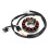 Yamaha YFZ450  Stator Coil: Enhanced Power & Reliability 8