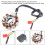 11-Pole Magneto Generator Stator 150cc GY6 Scooter Engine Part 1