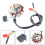 11-Pole Magneto Generator Stator 150cc GY6 Scooter Engine Part 6