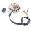 11-Pole Magneto Generator Stator 150cc GY6 Scooter Engine Part 3