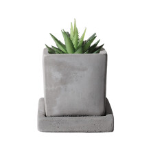 Mini-växtkrukor i grå cement, kompakta betongkrukor med dränering och avtagbart fat, moderna suckulentkrukor för inomhusträdgård, perfekt för