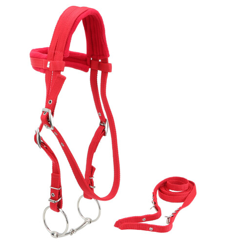 Horse Bridle Rein Harness Headstall Adjustable Removable Snaffle Soft Cushion 2