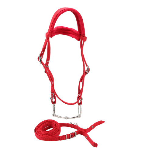 Horse Bridle Rein Harness Headstall Adjustable Removable Snaffle Soft Cushion 1