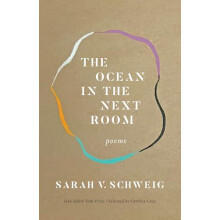 The Ocean in the Next Room by Sarah V. Schweig Paperback Book