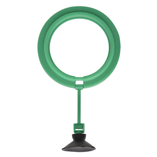 Runder Aquarium-Fütterungsring Grün 7.5cm Saugnapf 2