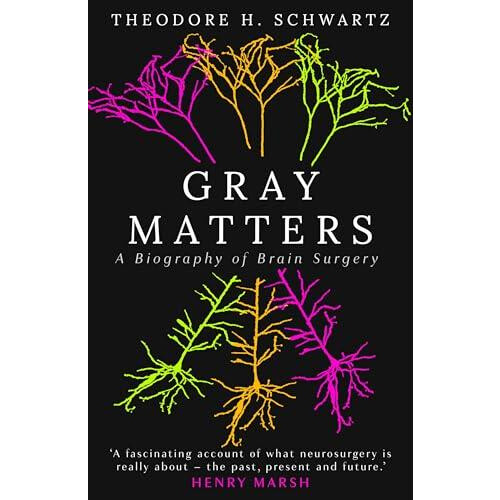 Gray Matters by Dr. Theodore Schwartz Hardcover Book