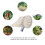 Fruit Picker Head Basket for Harvesting Apple, 14cm Diameter 9