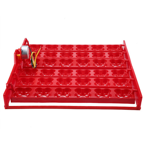 Automatisches Eier-Wender-Tablett 36-144 Eier, 110V, Rot 1