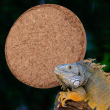 Kokoserde-Matte für Reptilien Spinnen-Eidechsen Skorpionen Landschaftsgestaltung 15 cm