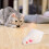 12 Stück Katzen-Plüschmäuse - Mini-Kunstmaus Grau/Weiß 5