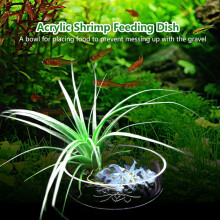 Acrylic Shrimp Feeding Dish Tray - Durable Easy Clean & Stain Resistant