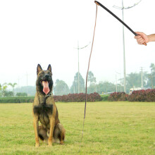 Durable Leather Whip for Dog Training Comfort Handle Interactive Play