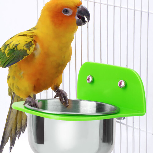 Grüne tragbare Vogelfutterschale, 5,8  5,2  4,6 cm