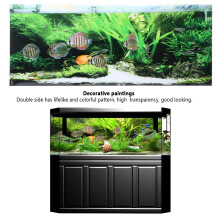 PVC Seabed Fish Water Plants Aquarium Background Poster Sticker 61x41cm