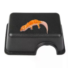 Cachette pour serpents et reptiles, petite boîte-terrarium, abri pour serpents, lézards, geckos léopards,