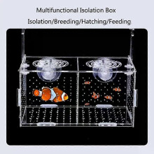 Boîte d'isolement transparente en acrylique pour l'élevage de poissons d'aquarium, incubateur, accessoires