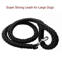 Harnais et laisse en nylon (diamètre 2,5 cm) pour chiens moyens et grands. Idéal pour l'éducation, la