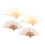 4Pcs De Leque Dobrável Para Artesanato E Eventos 10