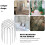 Roof Drain Filter Gutter Guard Strainer Anti-Block Leaf Rostfritt 7