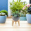 Displaystandaard Voor Bloempotten Buiten 13,9 Cm 7