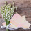 10 Ark Cellofan För Presentpapper Blommor 9