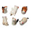 6Pcs Katt Design Chokstavarstöd Japansk Keramik 6
