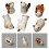 6Pcs Katt Design Chokstavarstöd Japansk Keramik 4
