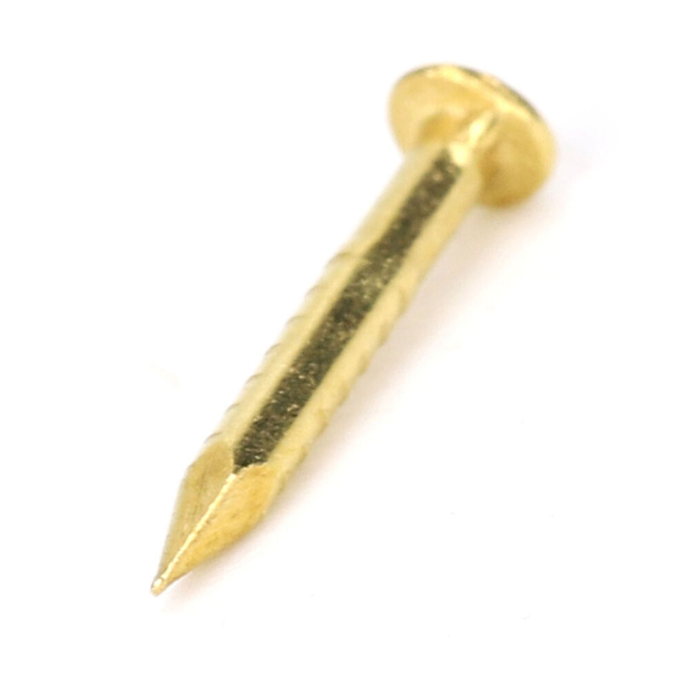 Brass Hardware Nails 100 Round Head Furniture Hinges 10Mm/15Mm/18Mm/22Mm 3451363318719