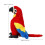 Parrot Peluche Realistico Bambini Morbido Regalo 3